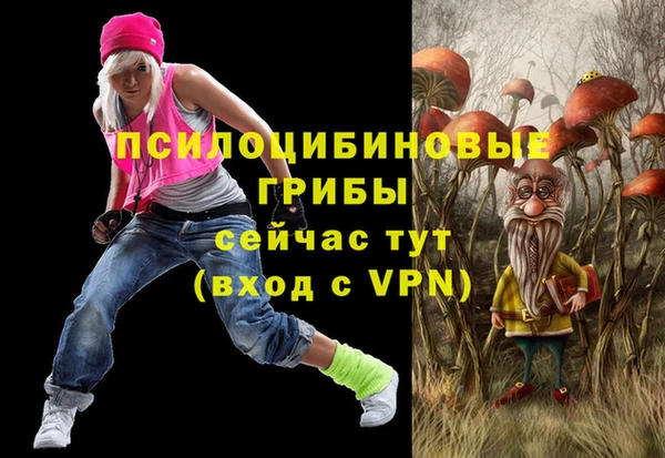 индика Абдулино