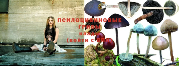 гидропоника Абаза