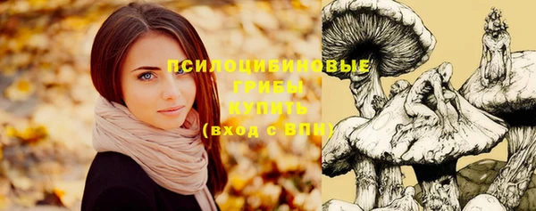 гидропоника Абаза