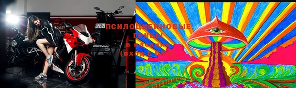 индика Абдулино