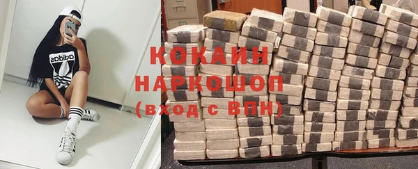 гидропоника Абаза