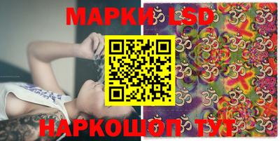 индика Можга