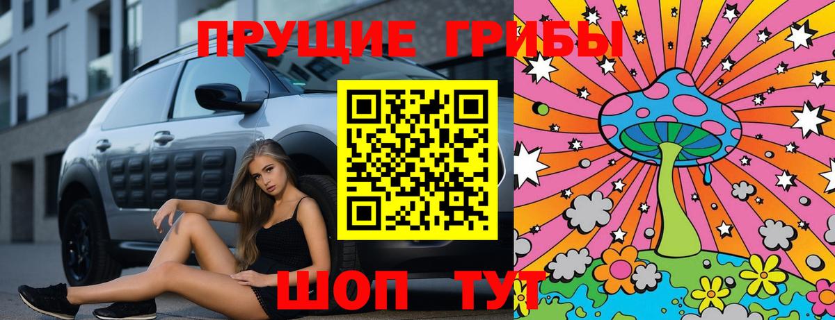 Галлюциногенные грибы Cubensis Кострома