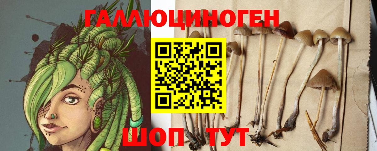 Галлюциногенные грибы мицелий  Кострома  Псилоцибиновые грибы прущие грибы 