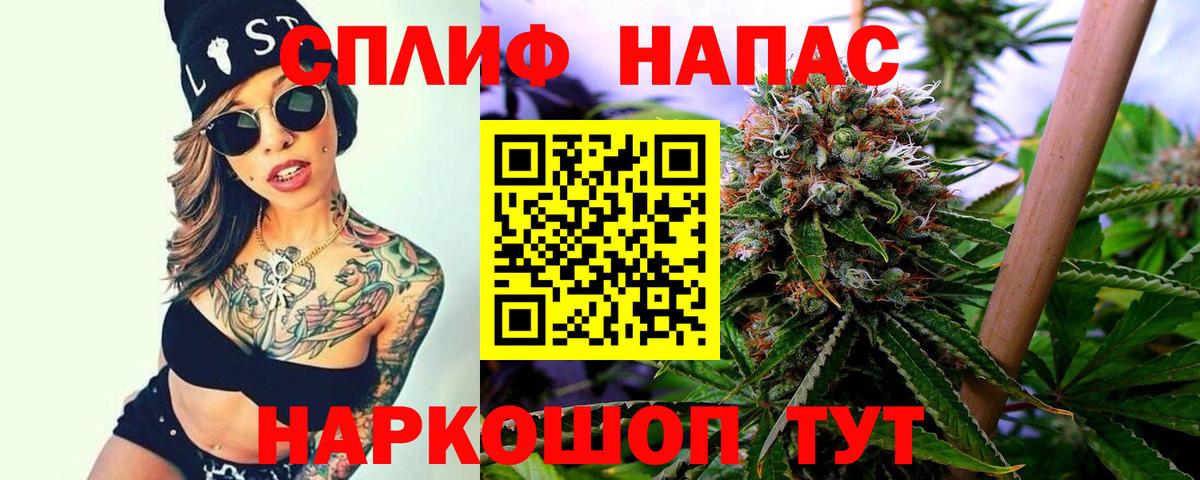 Конопля семена Кострома